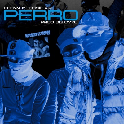 Beenni - PERRO