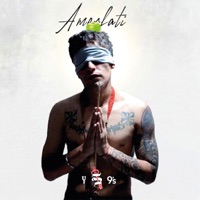 Amor Fati - Single - Sinser