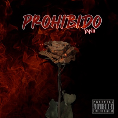 YUMEY, DGFlow (Prohibido) - Single