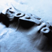 Pusto - Single - Rasko & БЭЙЛИ