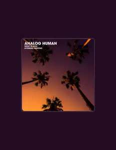 Analog Humanを聴いたり、ミュージックビデオを鑑賞したり、経歴やツアー日程などを確認したりしましょう！