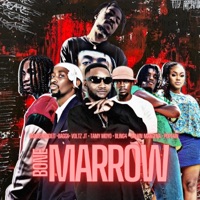 Bone Marrow (feat. Bagga, Voltz Jt, Bling4, Tamy Moyo, Calvin Mangena & Poptain) - Single - Gangstamadeit