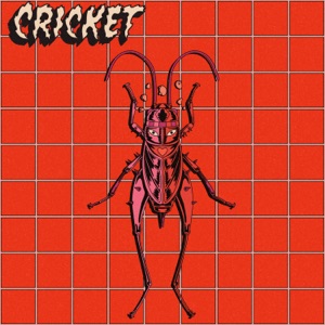 Cricket - Single
