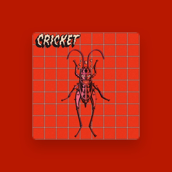Boiler Room Band's avatar