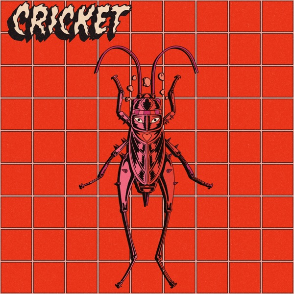 Cricket - Single
