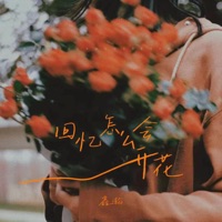 回忆怎么会开花 - Single - 鑫瀚