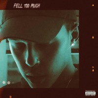 Fell Too Much - Single - CLGNE