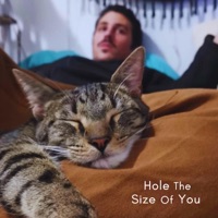 Hole the Size of You (feat. Tommy Mantra) - Single - Will Borda