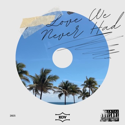 LOVE WE NEVER HAD - Single