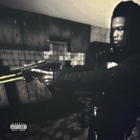 223 (feat. Pintscored) - Single - Dj Zelus