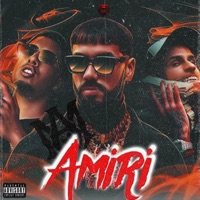 Amiri - Single - YOVNGFELO
