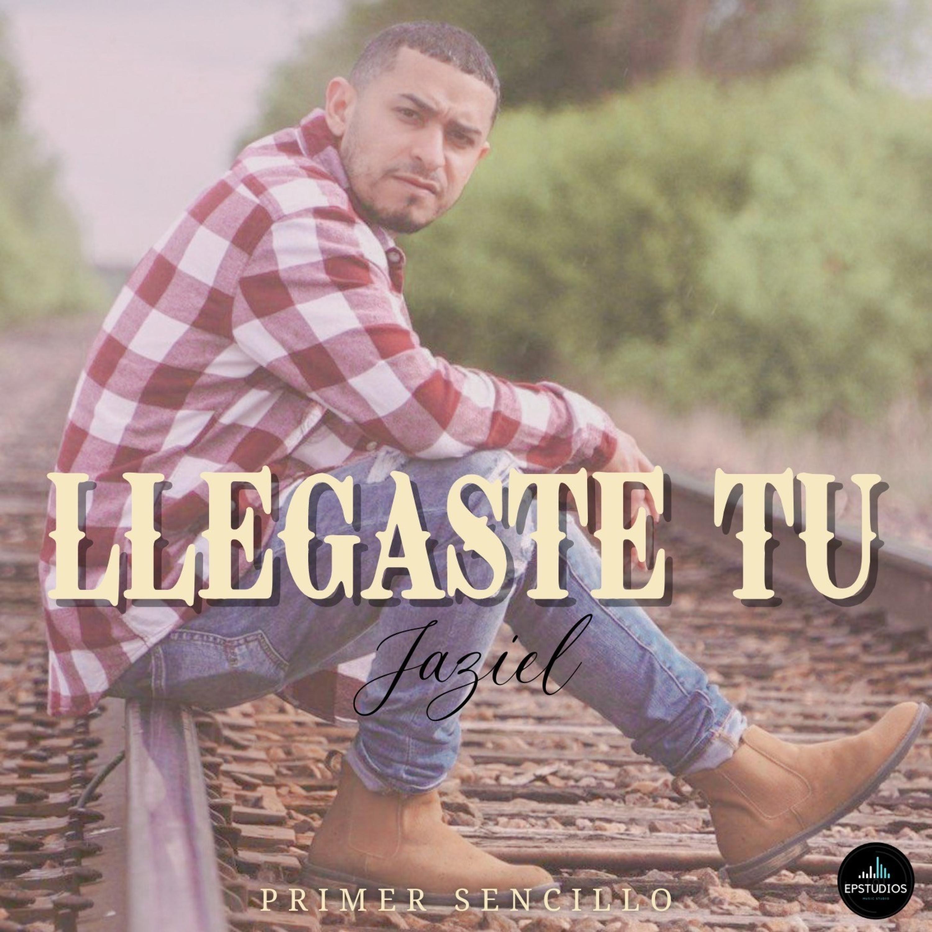Llegaste Tu - Single