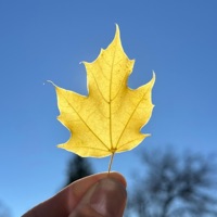 A New Day Rising (Cassidy Godwin Remix) - Single - Patrick Spatz, inamomentimalive & Avalon Eden