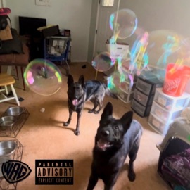 Go Rex Threat & Crst