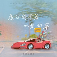 愿你能开着心爱的车 - Single - 老胡子男孩