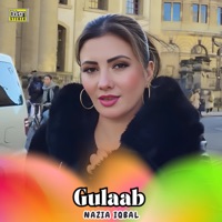 Gulaab - Single - Nazia Iqbal