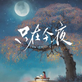 只在今夜 一节