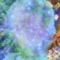 (Angioma) - Charaxes lyrics