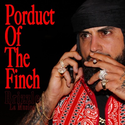 Product Of The Finch - Single