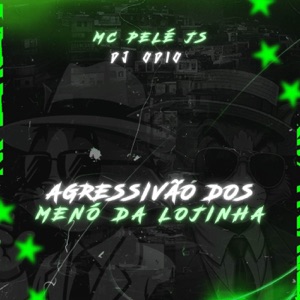 AGRESSIVÃO DOS MENÓ DA LOJINHA