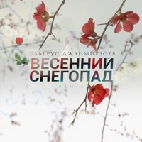 Весенний снегопад (Remix) - Single - Elbrus Dzhanmirzoev