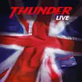 Gimme Some Lovin' (Live)