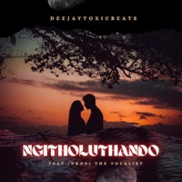 Ngitholuthando (feat. Nkosi The Vocalist) - Single - Deejaytoxicbeats
