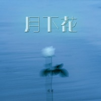 月下花 - Single - Jiang Jiang