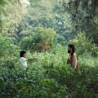 AJNABEE - Single - Sommaiya Angrish