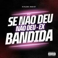 Se Não Deu, Não Deu X Ex Bandida - Single - Bruno Hott & Mc Pelezinho