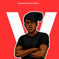 Flutorious(Intro) - Single - Djy Ta'flake SA & MystroGee8O8