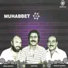 Muhlis Akarsu - Karlı Dağlar