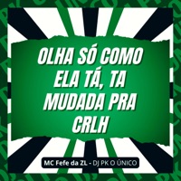 Olha Só Como Ela Tá, Ta Mudada pra Crlh - Single - DJ PK O Único & MC Fefe Da ZL