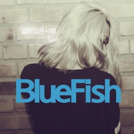 쉽지 않은 사랑 (feat. D-Ani) Bluefish
