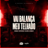 Vai Balança Meu Telhado - Single - Dj Nigga011, MC Nego JP, MC VITIN DA DZ7 & MC Zayra