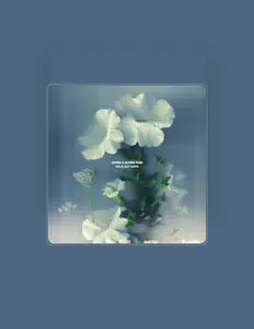 收听 Alyssa Robi、观看音乐视频、阅读小传、查看巡演日期等 ！