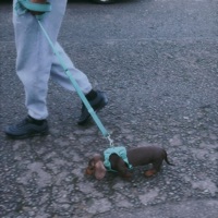 you know - Single - JON THE II