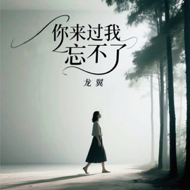 你来过我忘不了 龙翼