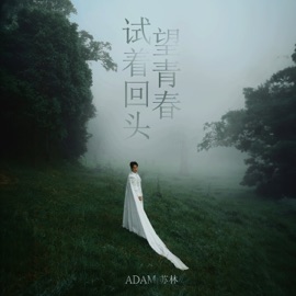 试着回头望青春 (Ta Thử Ngoảnh Lại Nhìn Thanh Xuân) [Chinese Version] Adam Lam