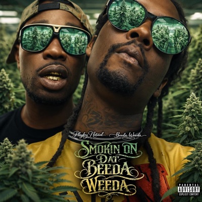 Smokin on dat Beeda Weeda (feat. Beeda Weeda) - Single