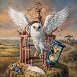 Unwind Giovanni Davinci