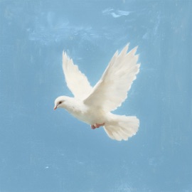 На безымянной высоте Сергей Нихаенко