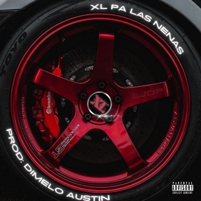 XL PA' LAS NENAS (feat. Dimelo Austin) - Single