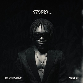 Update (feat. Bad Boy Timz) NS Imole