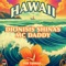 Hawaii artwork