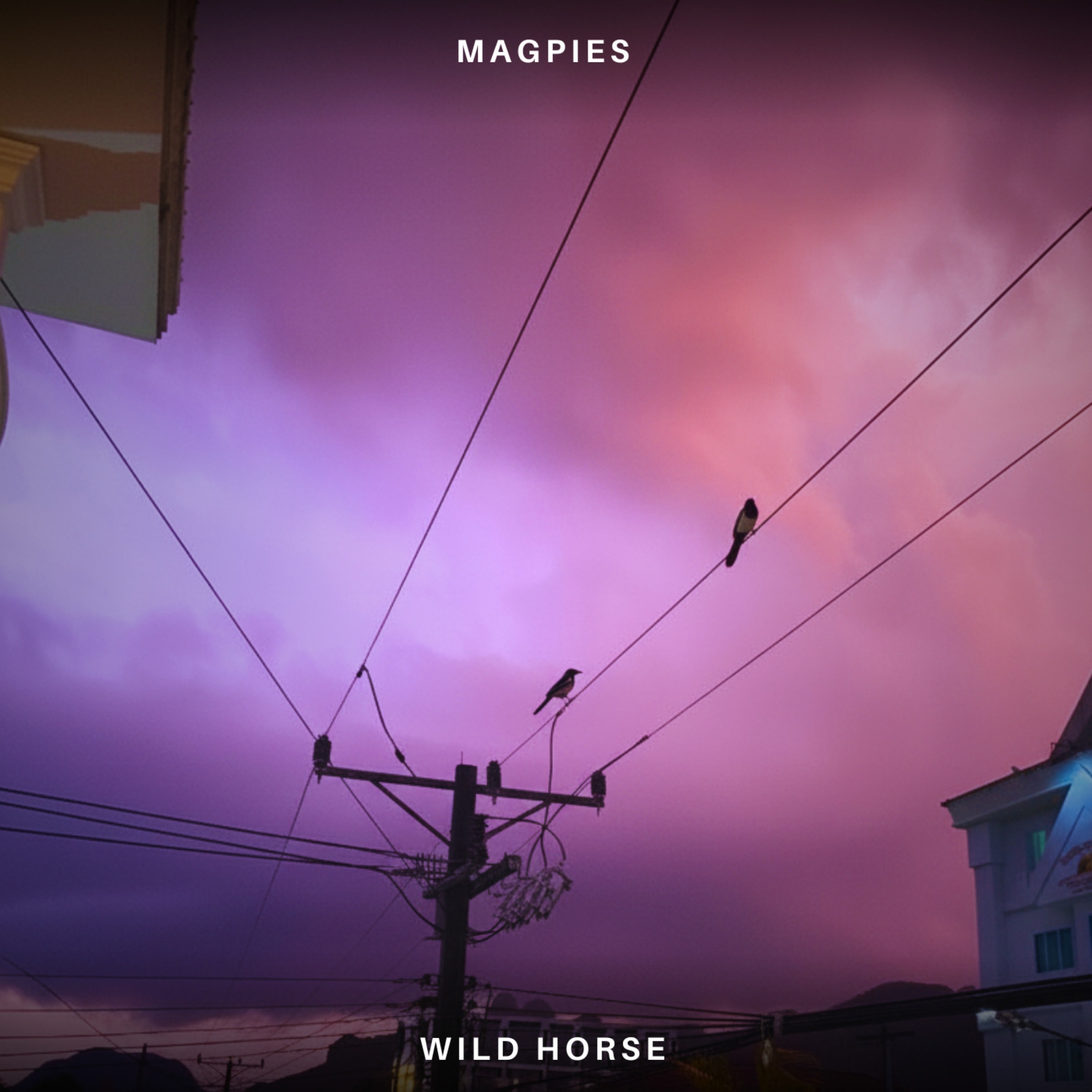 Magpies - Single