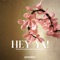 Hey Ya! (feat. Lilli Köhler) artwork