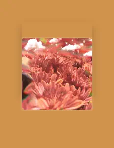 Lizzy Blaze: песни, клипы, биография, даты выступлений и многое другое.