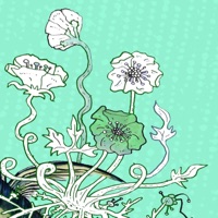 Doom Loops (feat. Andrea Parkins & Frank Gratkowski) - Single - Devin Gray