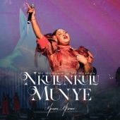 Nkulunkulu Munye (My Worship Is My Weapon Live) artwork